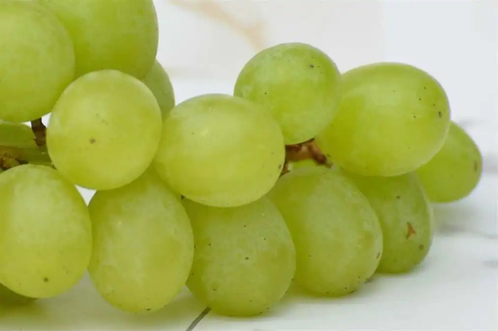 Happy New Year with 12 grapes 3 Korespa spanish Feliz Año Nuevo Uvas