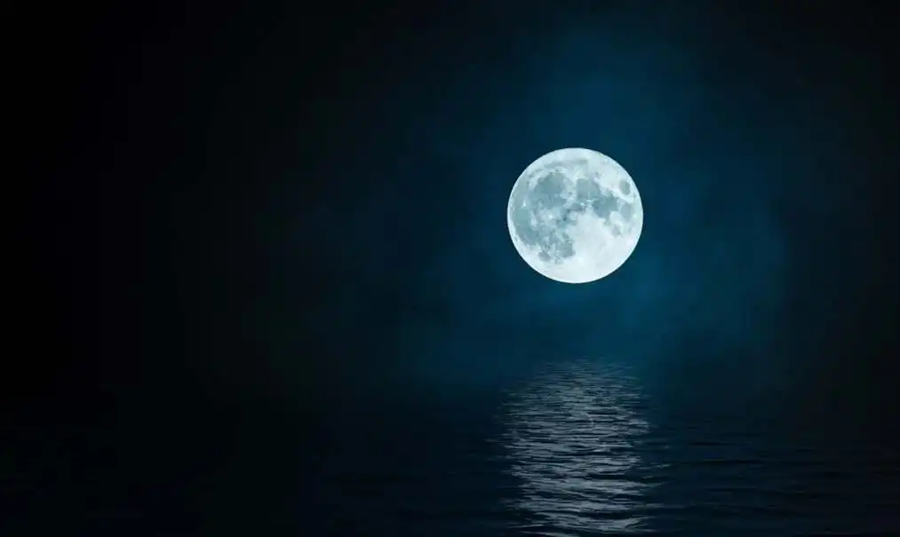 Music 110 Noches de Bohemia