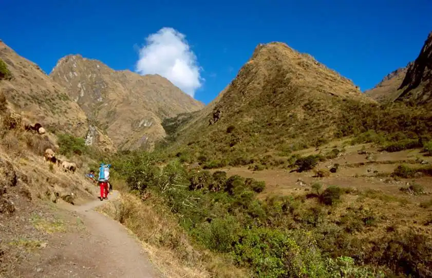 Perú - Los detalles más relevantes de 7 Camino inca dia2 c012