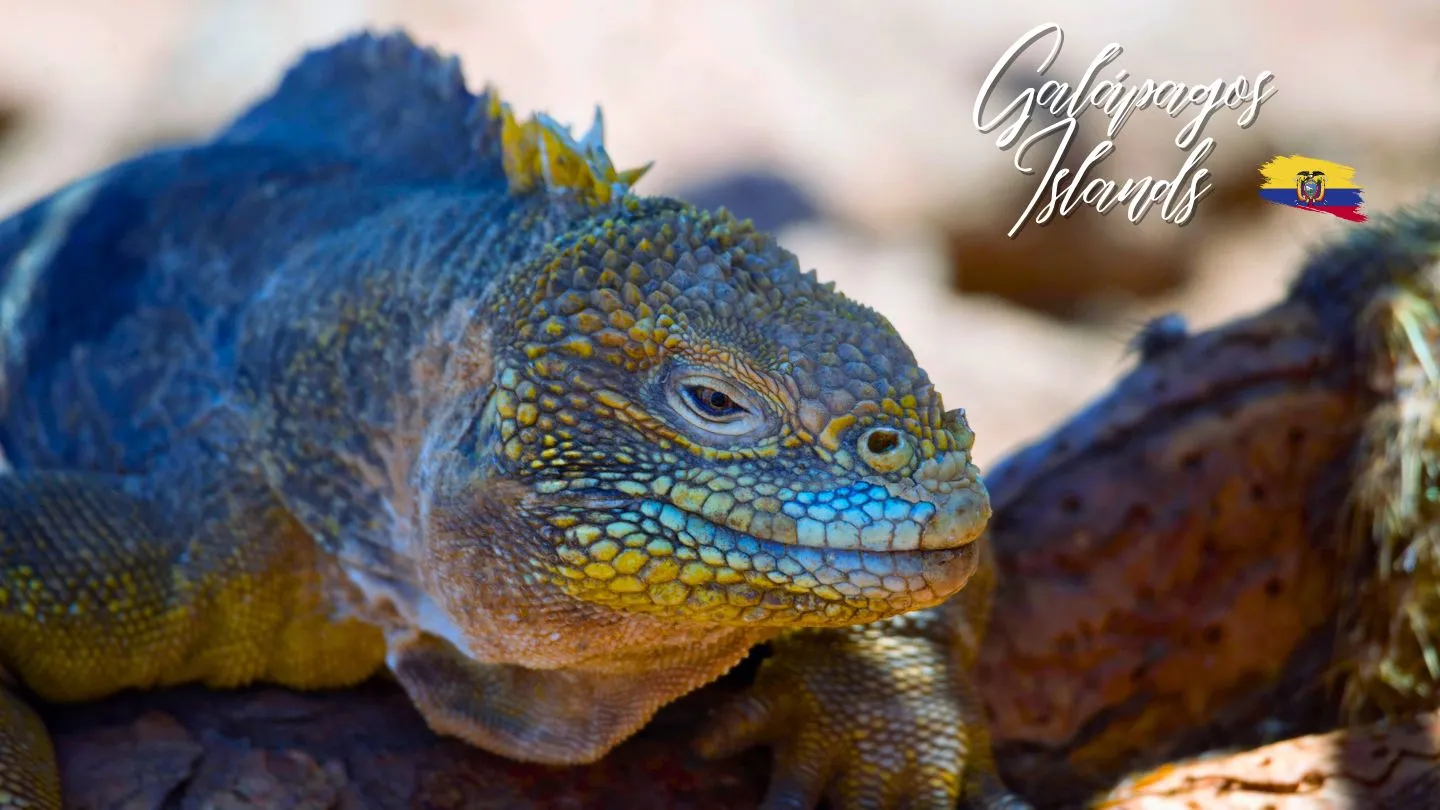 Places 87 Galapagos Islands