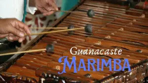 Los Ajenos: Harmonizing Diversity, The Remarkable Journey of Costa Rica's Musical Pioneers 15 Guanacaste Marimba Ensemble: Resonating Tradition and The Captivating Journey