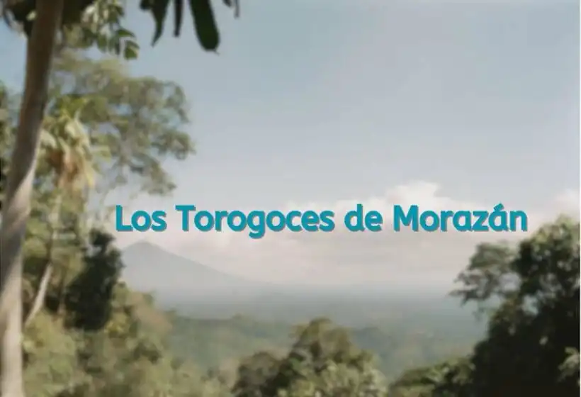 Los Torogoces de Morazan2