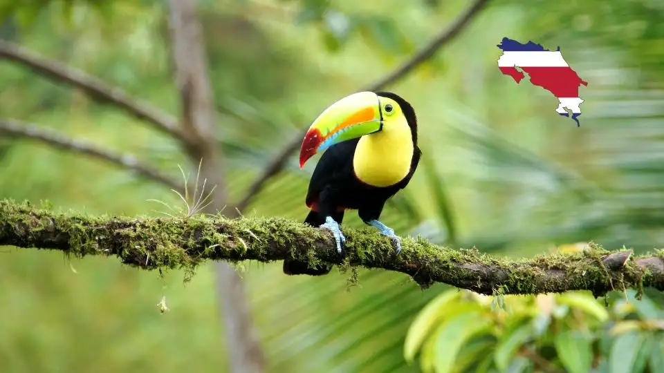 Costa Rica – The most relevant details