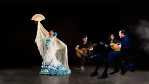 Your first flamenco class with the bailaor Sergio González 5 Flamenco is an art full of passion