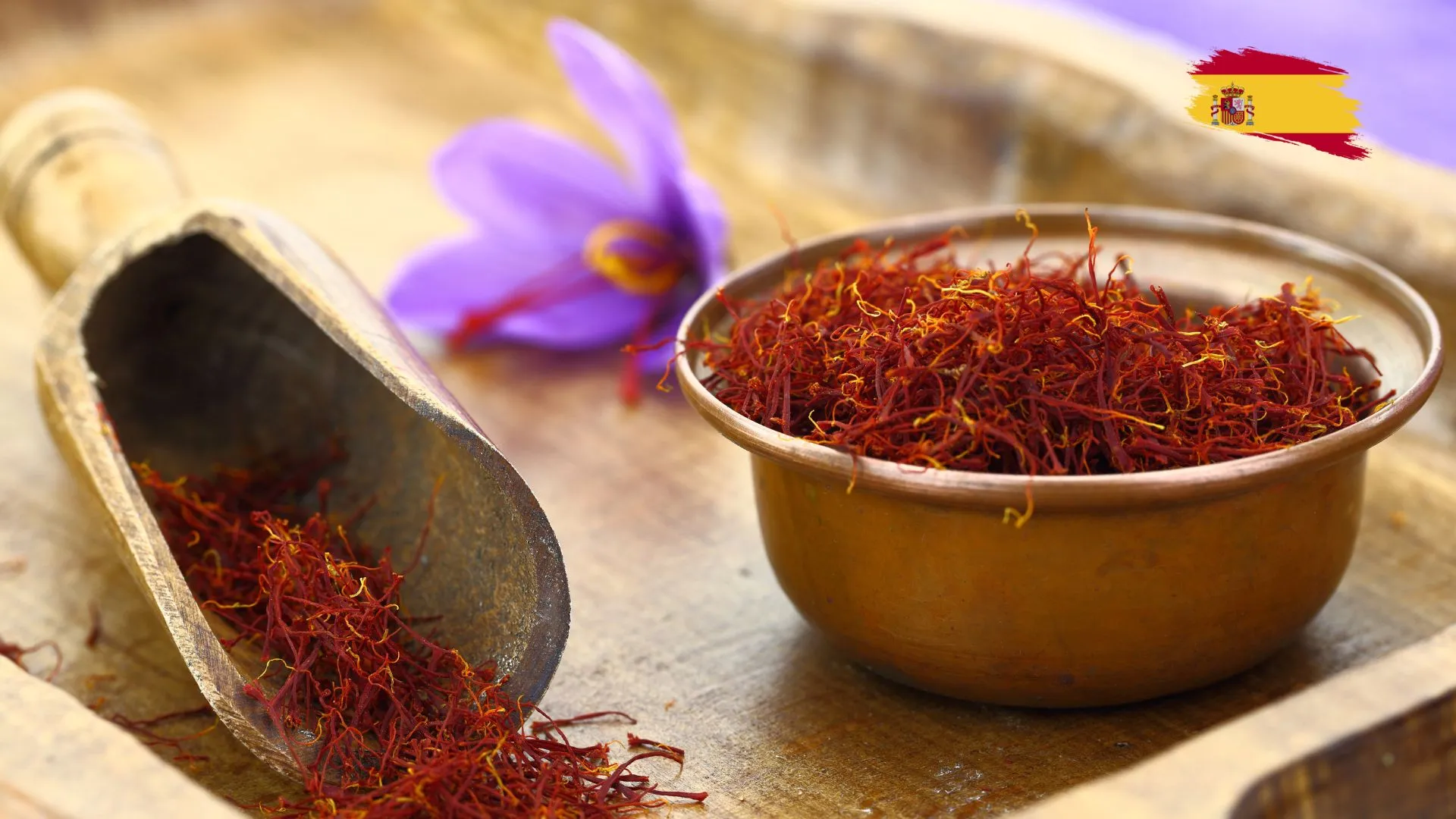 Saboreando los sabores de la cocina española 13 Azafrán