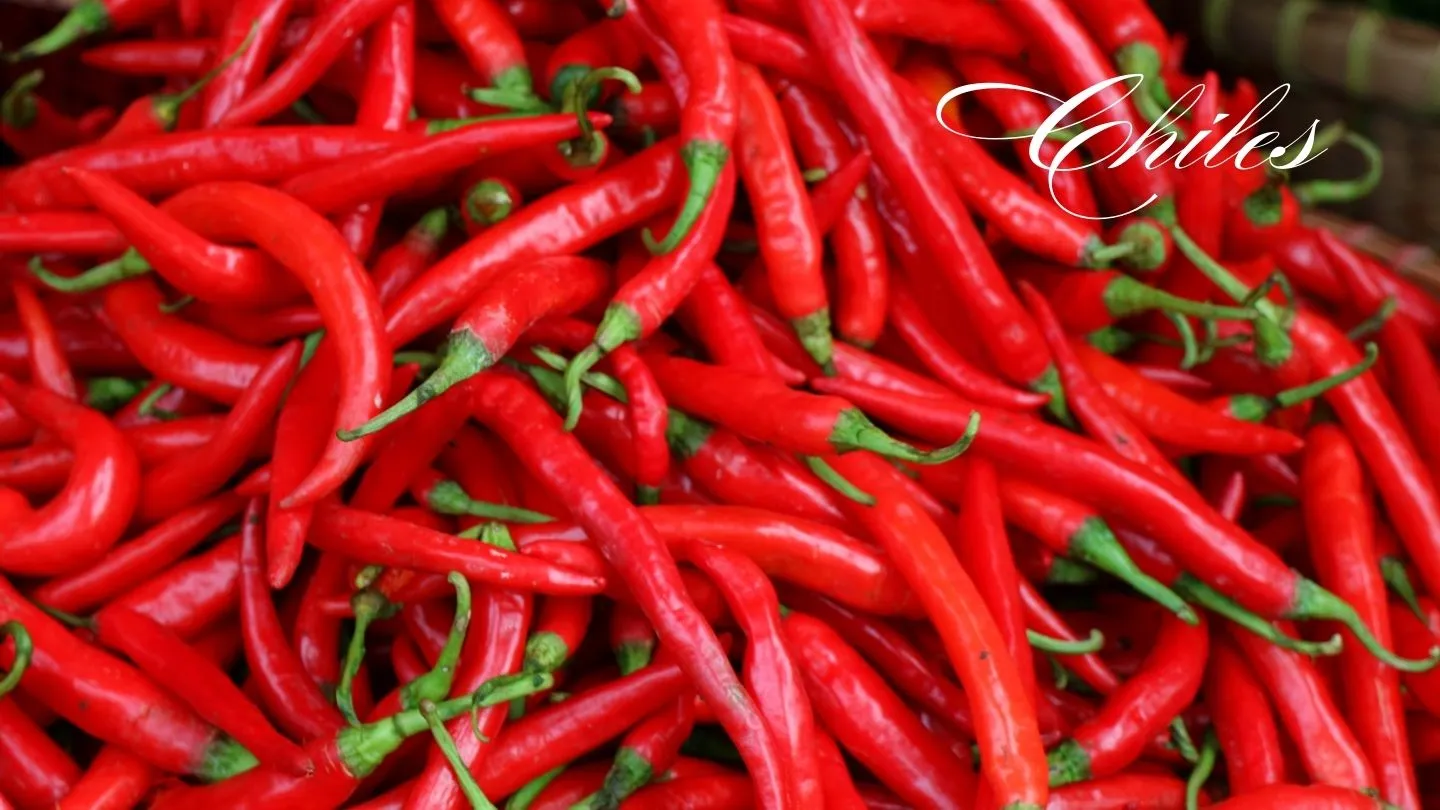 México es simplemente mágico 10 Chiles