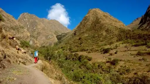 Curiosidades de Perú