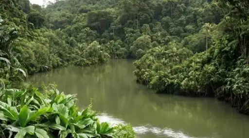 Curiosidades de Honduras