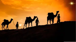 Carta a los Reyes Magos y Cabalgata 5 Los Tres Reyes Magos: Navegando por la tradición, la fe y la celebración