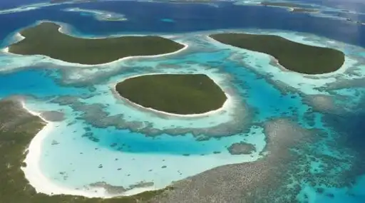 Curiosidades de Venezuela