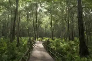 Radios en Ecuador 411 UNESCO en Ecuador